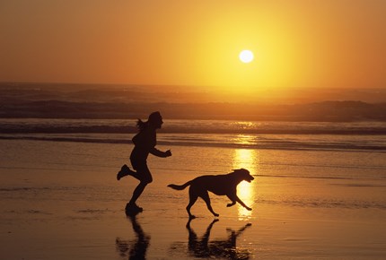 Un cane e il suo padrone corrono su una spiaggia al tramonto.